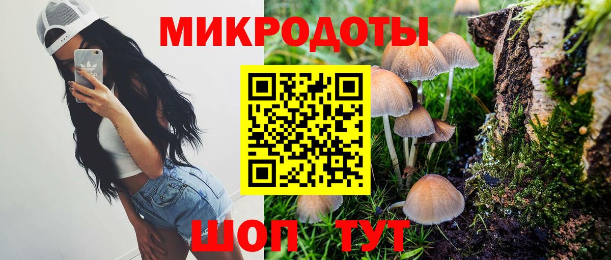 Галлюциногенные грибы Psilocybe Урай