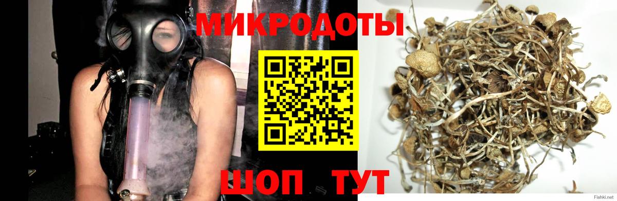 Урай  закладки  Галлюциногенные грибы Psilocybine cubensis  Вход с VPN  Галлюциногенные грибы GOLDEN TEACHER 